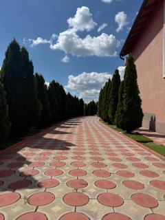 Red house pool & jacuzzi - 8