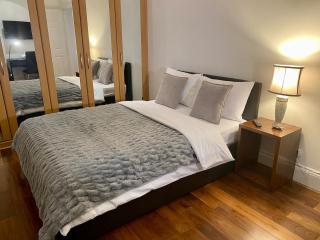 Hampstead Penthouse with world-class London views - 8