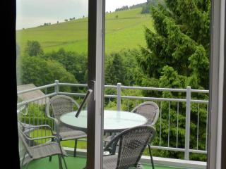 2 Separate Wohnungen mit Balkon an der Skipiste - 6