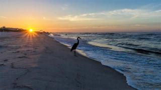 BeachClub A406-3bed3.5 New Rental-Beachfront condo - 3