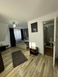 Casa Sofia Dorna Candrenilor - 3