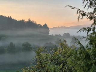 Fewo Schmallenberger Mauerblümchen - 7