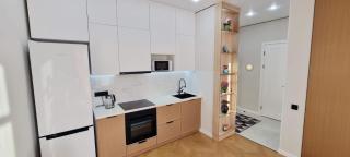 Modern 2BR in the Center of Astana! - 6