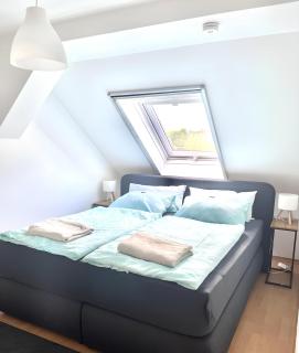 Gemütliches Altbauapartment III - 1