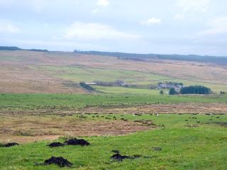 Felbrook Cottage - 5