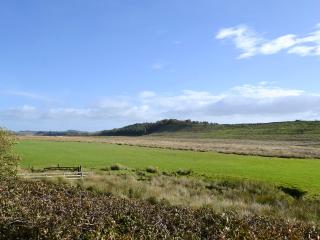 Felbrook Cottage - 1