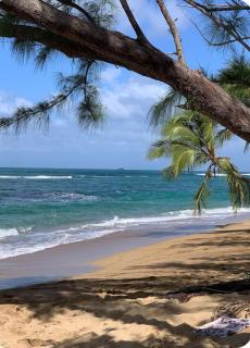 Villa Créole T2 à Tartane anse l étang - 8