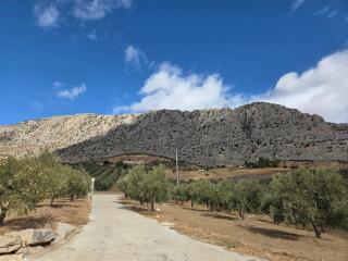 Casa Rural Rocío -Caminito del Rey - 5