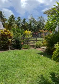Villa Créole T2 à Tartane anse l étang - 9