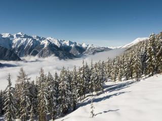 Chalet in Neukirchen by Wildkogel Ski Slopes - Neukirchen am Grossvenediger - 8