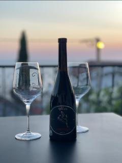 Vinarija Ljutica Winery Ljutica - 4