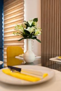 Soni Exclusive Apartments 303 Plaza with Private Parking & Self Check-in - 9