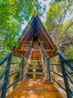 Habarana Tree House Ambasewana Resort - 4