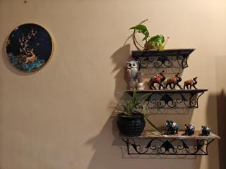 Home of Lavenia - 5