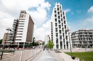 A21 Rhine view condo by the 3-countries-bridge - 7