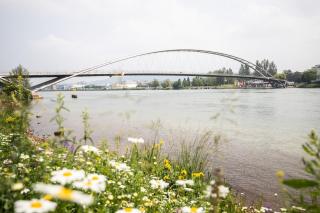 A21 Rhine view condo by the 3-countries-bridge - 3