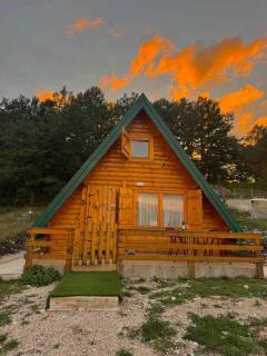 Forest rest - 9