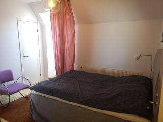 Stor lägenhet för familj eller företag - 3