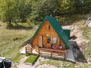 Forest rest - 5