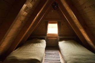 Forest rest - 1