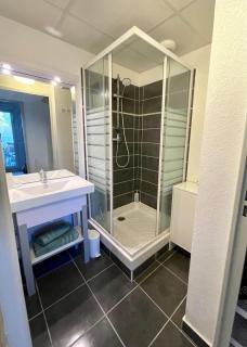 Le Cocon Camarguais 4 personnes Piscine Climatisation Wifi Parking Privé - 4