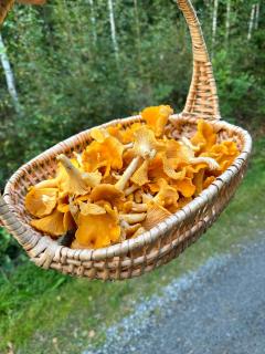 Villa Guldkusten - 2