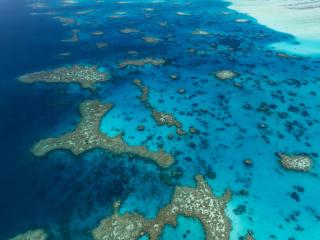 Fathikoyhe - Viligili - 6