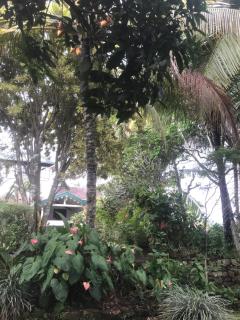 Wattarantanne homestay - 3