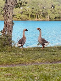 La Casa de Natina Cocoon & Balnéo - 6
