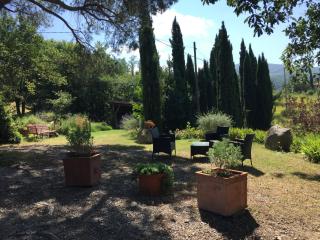 Podere Pinzicalari - Castel del Piano - 0