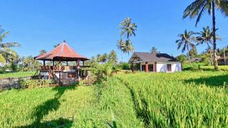 Rice Field inn - Lombok - 4