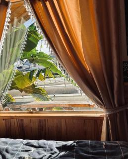 September Garden Homestay - 4