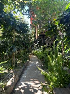 September Garden Homestay - 6