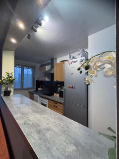 Luxe 2 bedrooms Paris 14th & Montrouge - 2