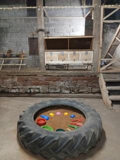 Apartment "Erde" im Ferienhaus am Waldbach - 2