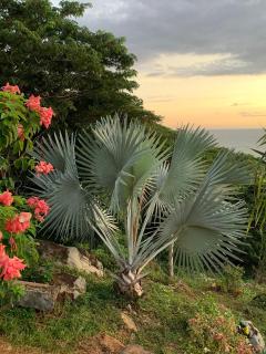 Scavana lodge - 3