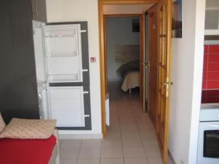 T2 avec vue sur le lac de Serre-Ponçon - 4