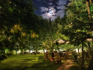 Park Hotel Amfora -Free Parking - 5