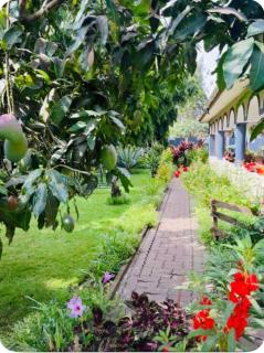 Tropical Garden Homestay - 8