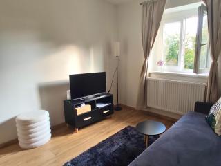Apartmán Palackého sady - pohoda v srdci města - Písek - 2