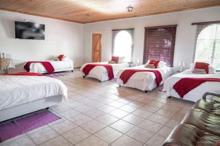 The Palms Guest House - 1