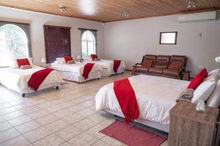 The Palms Guest House - 2