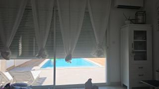 Villa Piscine Juvignac 34 - 3