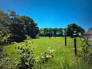 De Skourre met hottub en sauna - 5