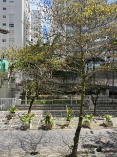 Studio 201 Pitangueiras Guarujá - Vista Mar - 7