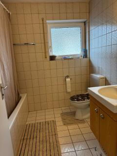 Ferien und Monteurwohnung mit Garage im Gäu - 1