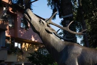 Guest House Elena - Velingrad - 9