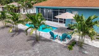 Anna Maria Island-Blue Manatee - 0