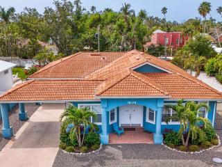 Anna Maria Island-Blue Manatee - 9