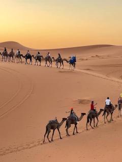 Merzouga white camp - 1